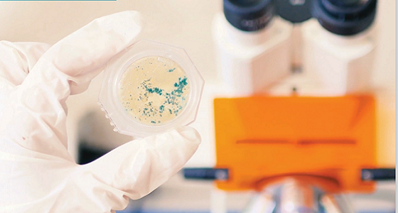 Get EIC Accelerator funding